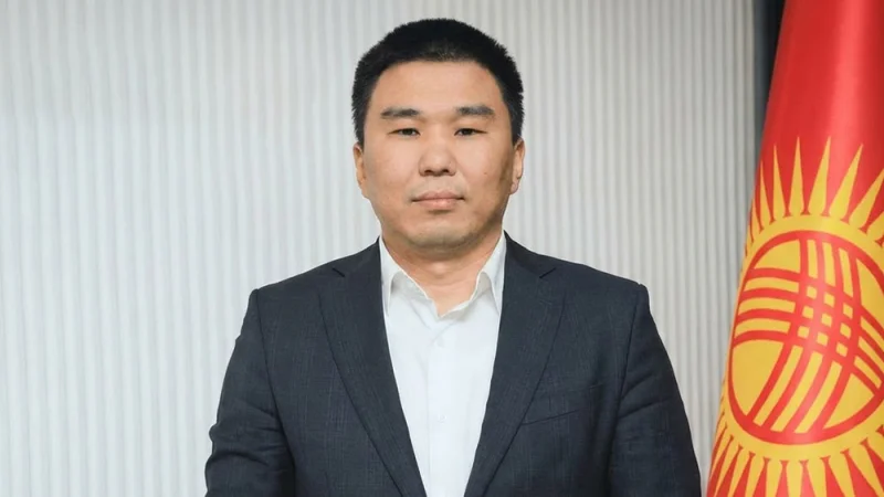 Эльнар Субакожоев санариптик өнүгүү министринин орун басары болуп дайындалды