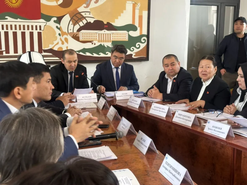 Ош шаарынын башкы планын иштеп чыгууга 238 млн сом талап кылынат