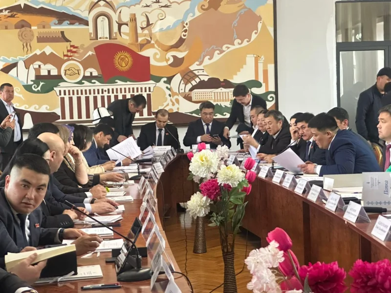 Ош: Бекмамат Осмонов көчөсүнө эгилген көчөттөрдүн дээрлик көпчүлүгү куурап калган