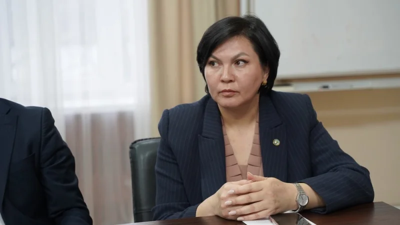 Кыргызстандын 5 шаарында абанын сапатын  көзөмөлдөө үчүн 11 станция орнотулат