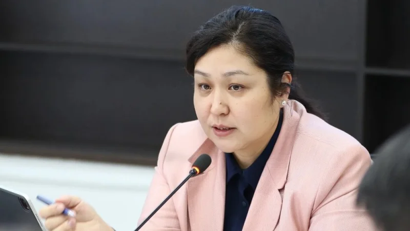 Илим министри жогорку окуу жайлардын ректорлору менен жогорку билим реформасы боюнча жолугушуу өткөрдү