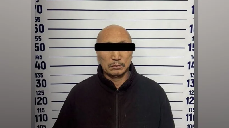 Бир адамды чынжыр менен байлап алган жаран кармалды