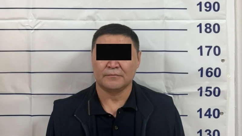 Шаирбек Ташиев кармалды